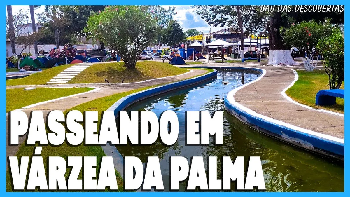 Guia Completo de Serviços e Informações de Várzea da Palma: Educação, Judiciário e Economia no Norte de Minas - Portal38