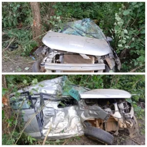 Jovem de 23 anos se fere após carro sair da pista e colidir contra árvores na MGC-122 - Portal38