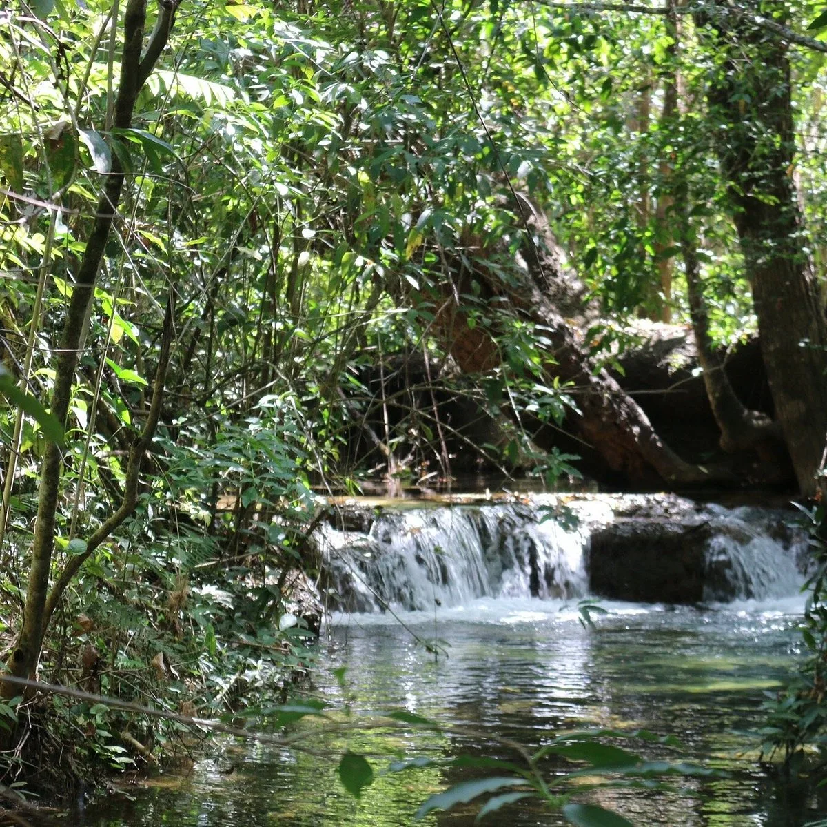 Parque Estadual da Lapa Grande Montes Claros - Portal38