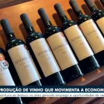 Produtores de vinho de Pernambuco realizam missão comercial para exportar à Costa Rica - Portal38