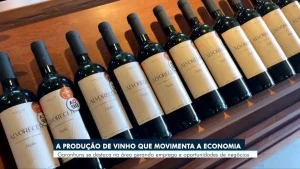 Produtores de vinho de Pernambuco realizam missão comercial para exportar à Costa Rica - Portal38