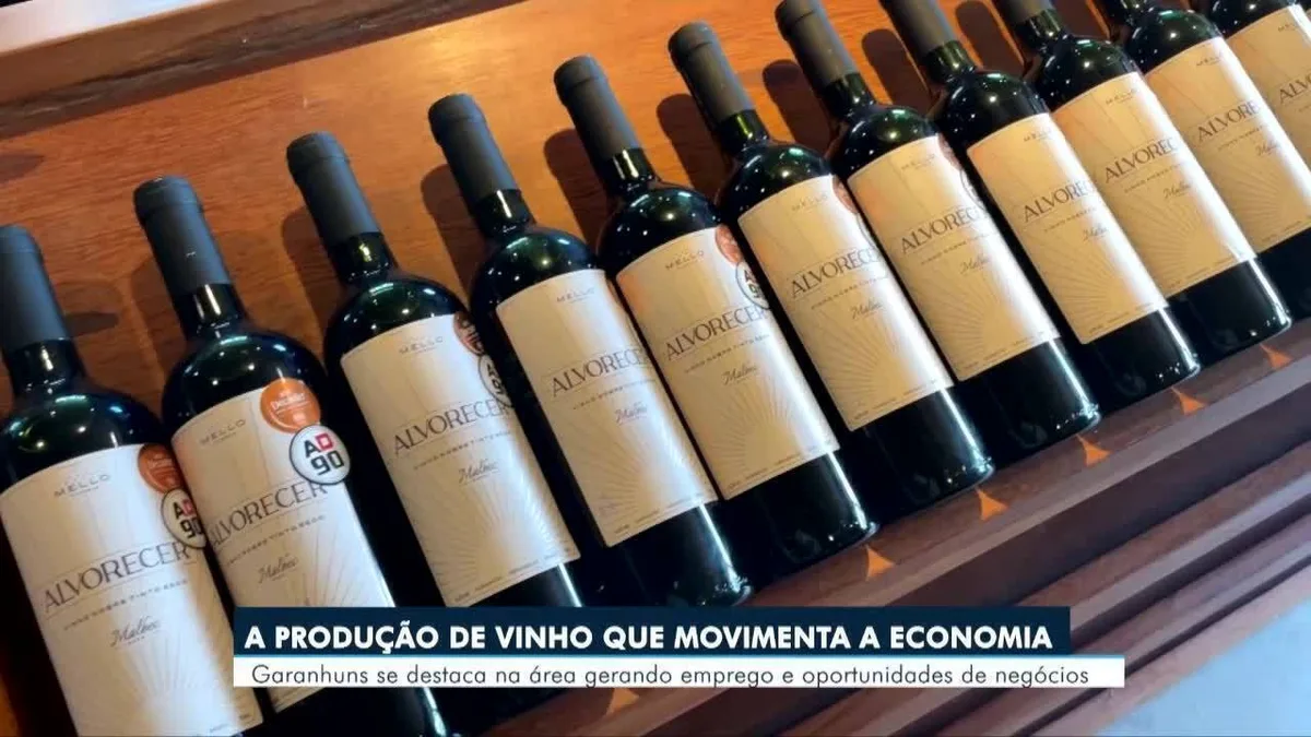 Produtores de vinho de Pernambuco realizam missão comercial para exportar à Costa Rica - Portal38